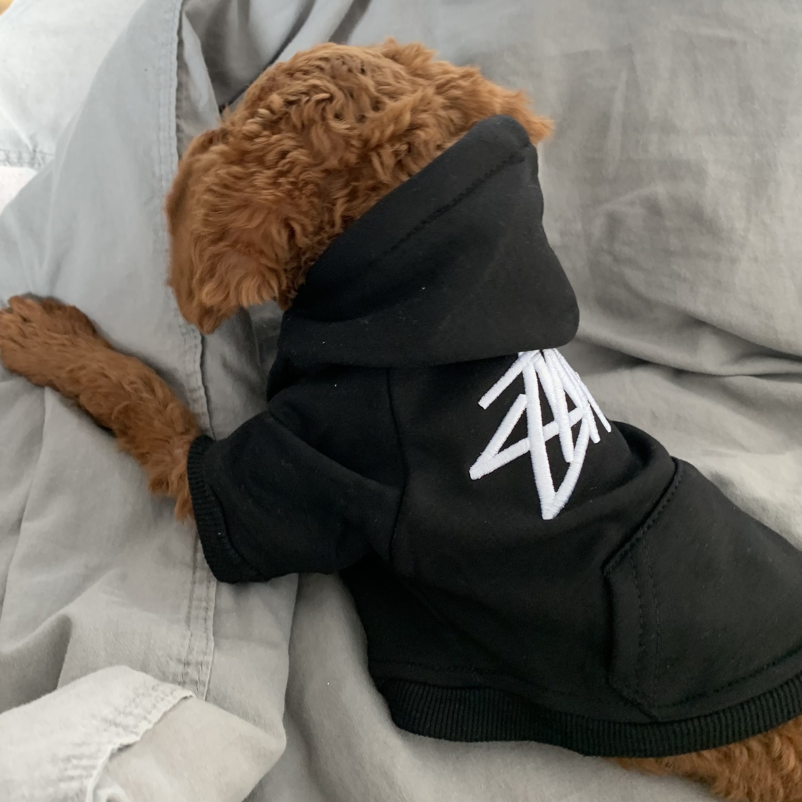 Stussy x Our Legacy Better Than Another Hood Black 착용 스타일 - 1