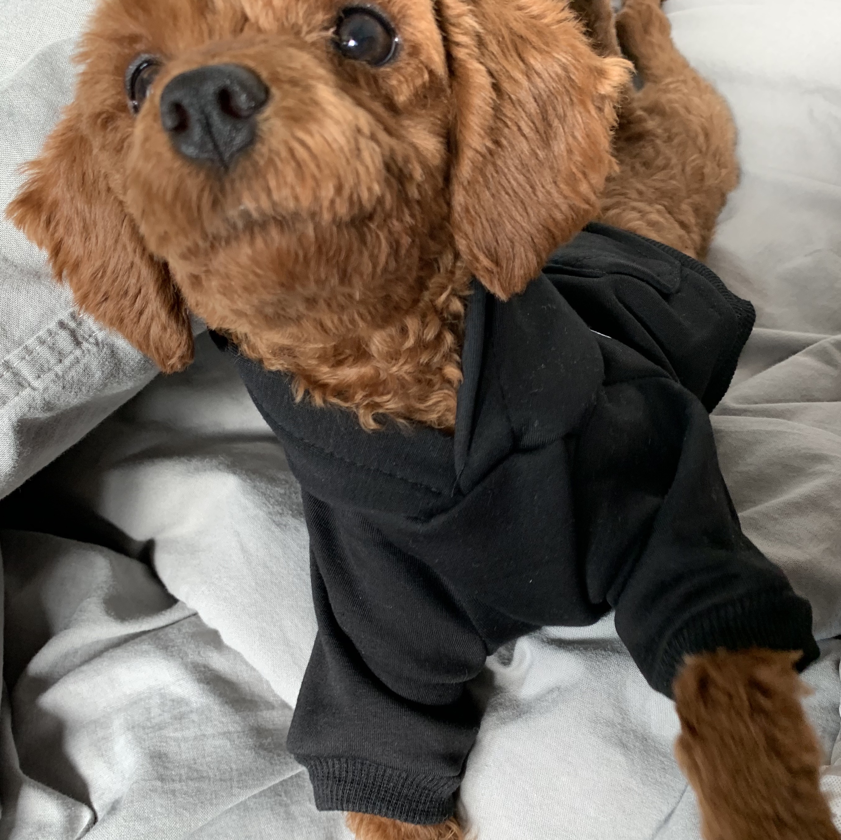 Stussy x Our Legacy Better Than Another Hood Black 착용 스타일 - 4