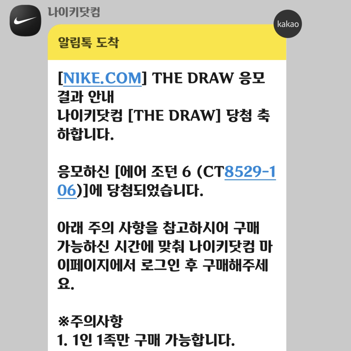 Jordan 6 Retro Carmine 2021 착용 스타일