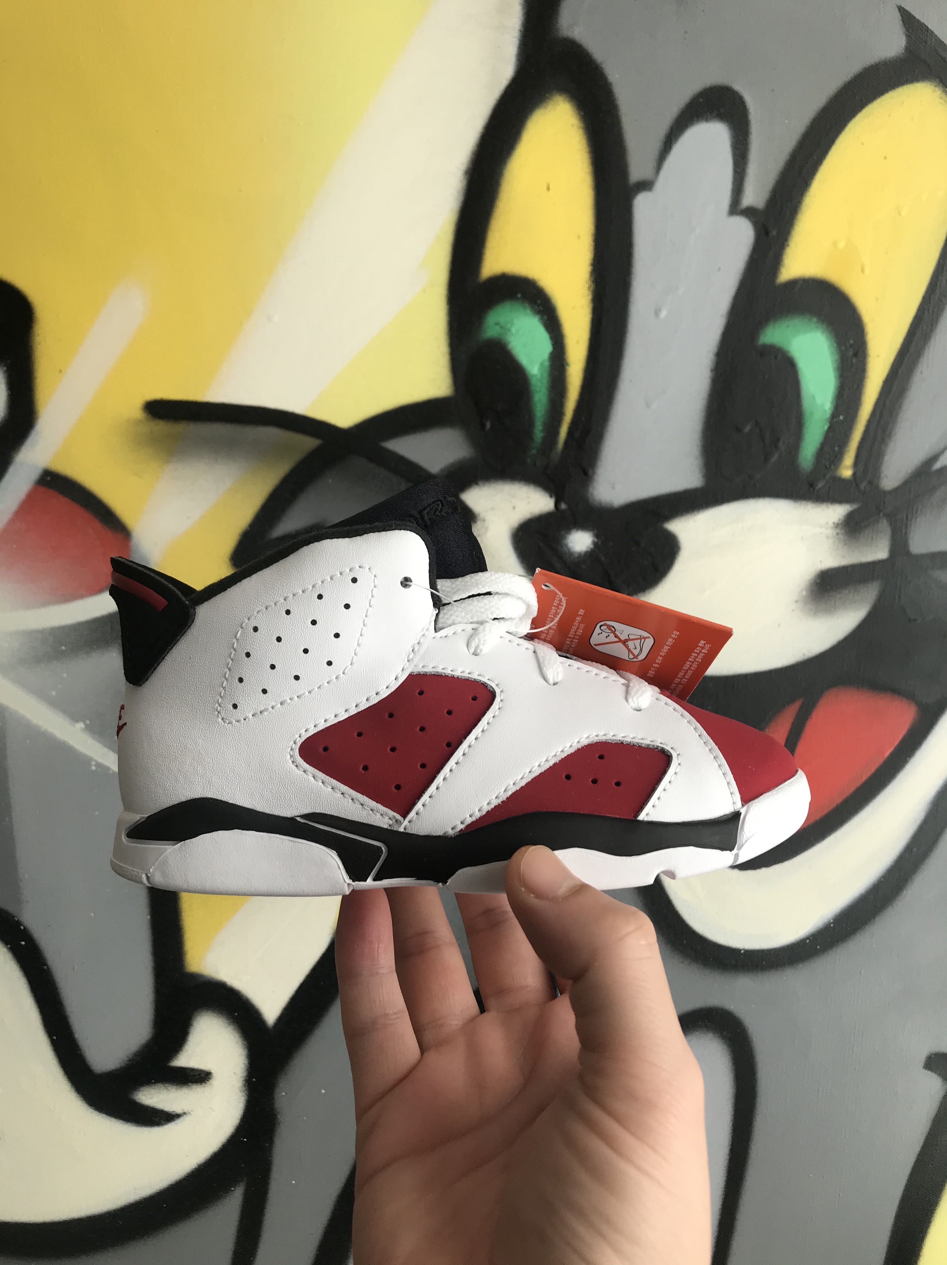 (TD) Jordan 6 Retro Carmine 2021 착용 스타일