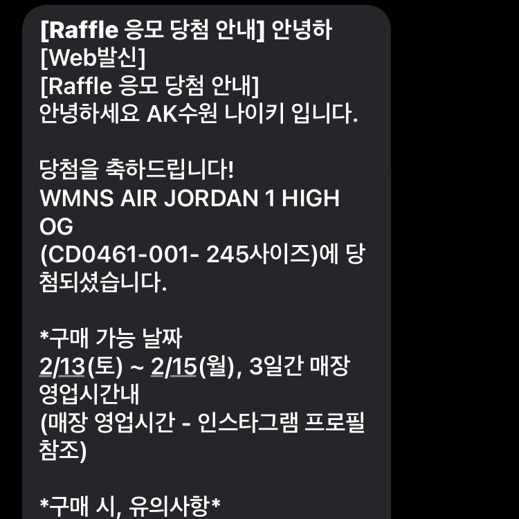 (W) Jordan 1 Retro High OG Silver Toe 착용 스타일