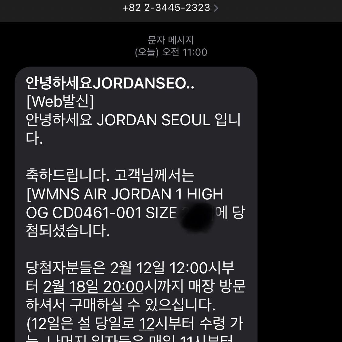 (W) Jordan 1 Retro High OG Silver Toe, Essentials Sweatpants Cement - 20FW 착용 스타일 - 5