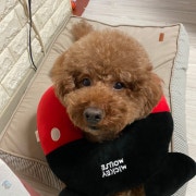 KREAM 프로필 이미지