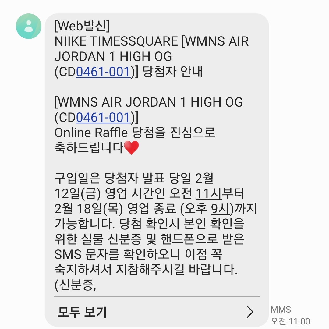 (W) Jordan 1 Retro High OG Silver Toe 착용 스타일