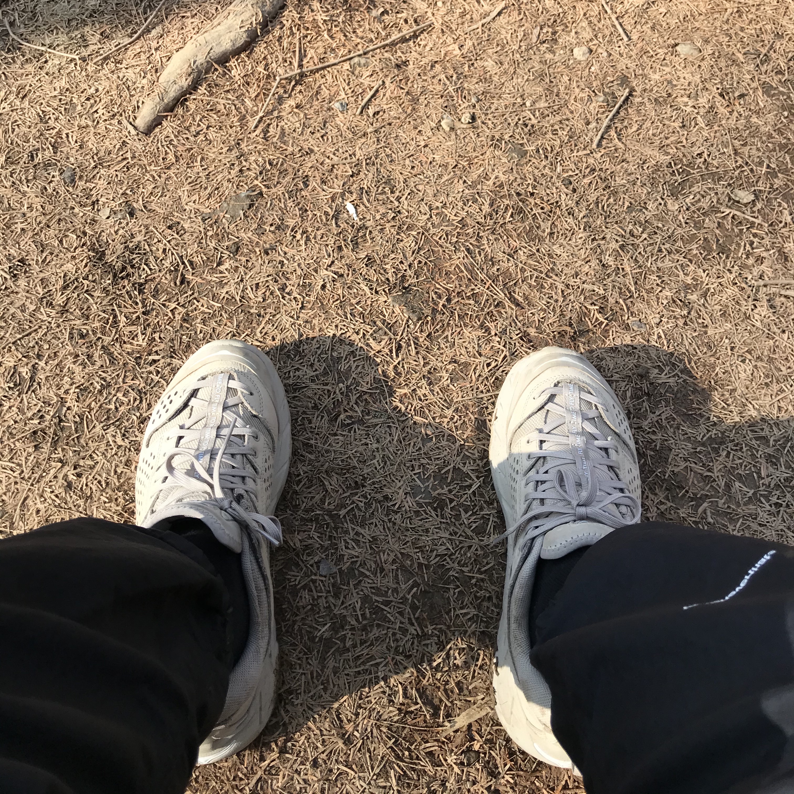 Hoka Tor Ultra Low WP JP Simply Taupe 착용 스타일