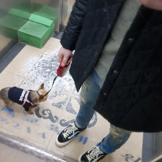스타일 카드