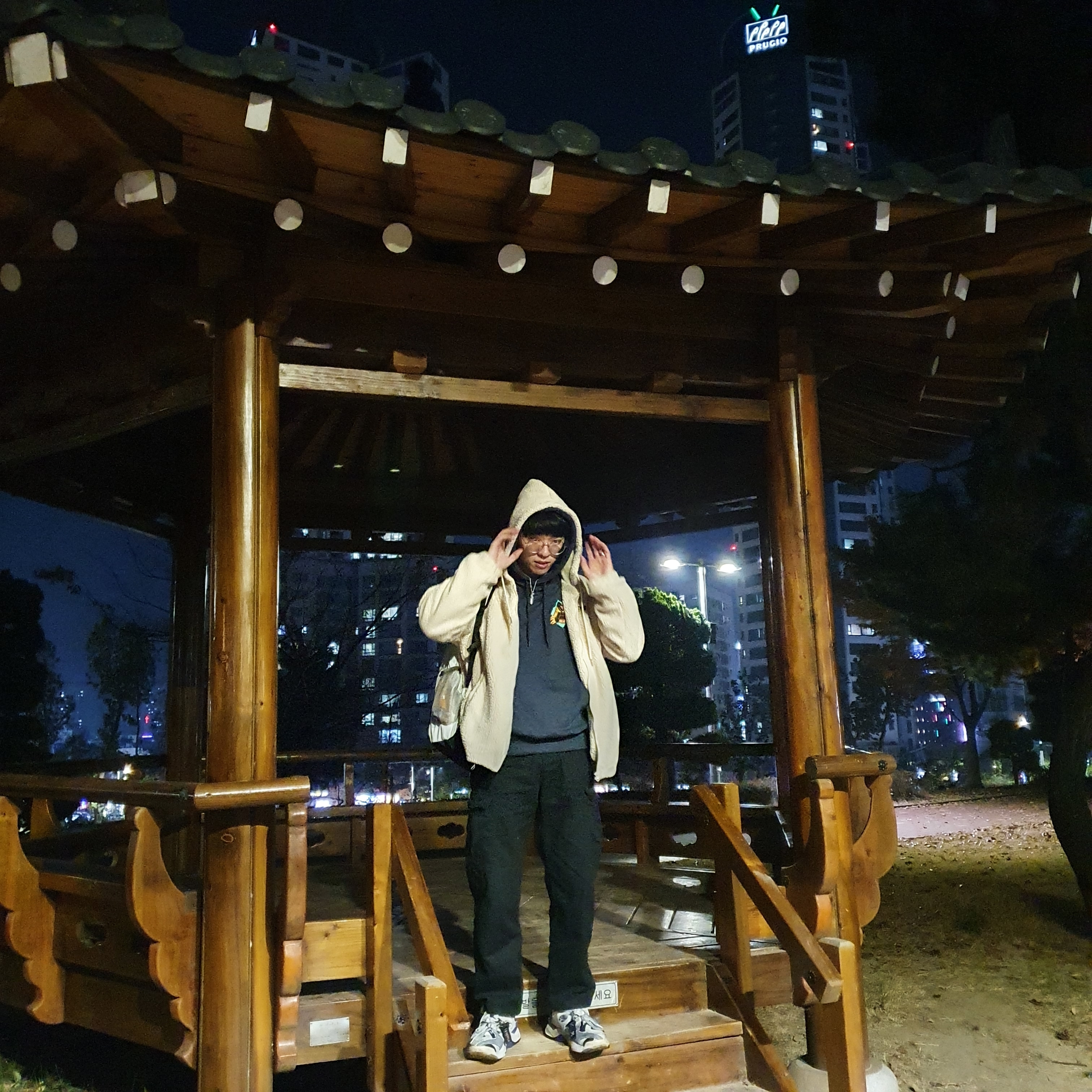 Reebok x Vetements Genetically Modified Pump Dirty Grey, Palace Tri-Ripper Hood Navy - 20FW 착용 스타일