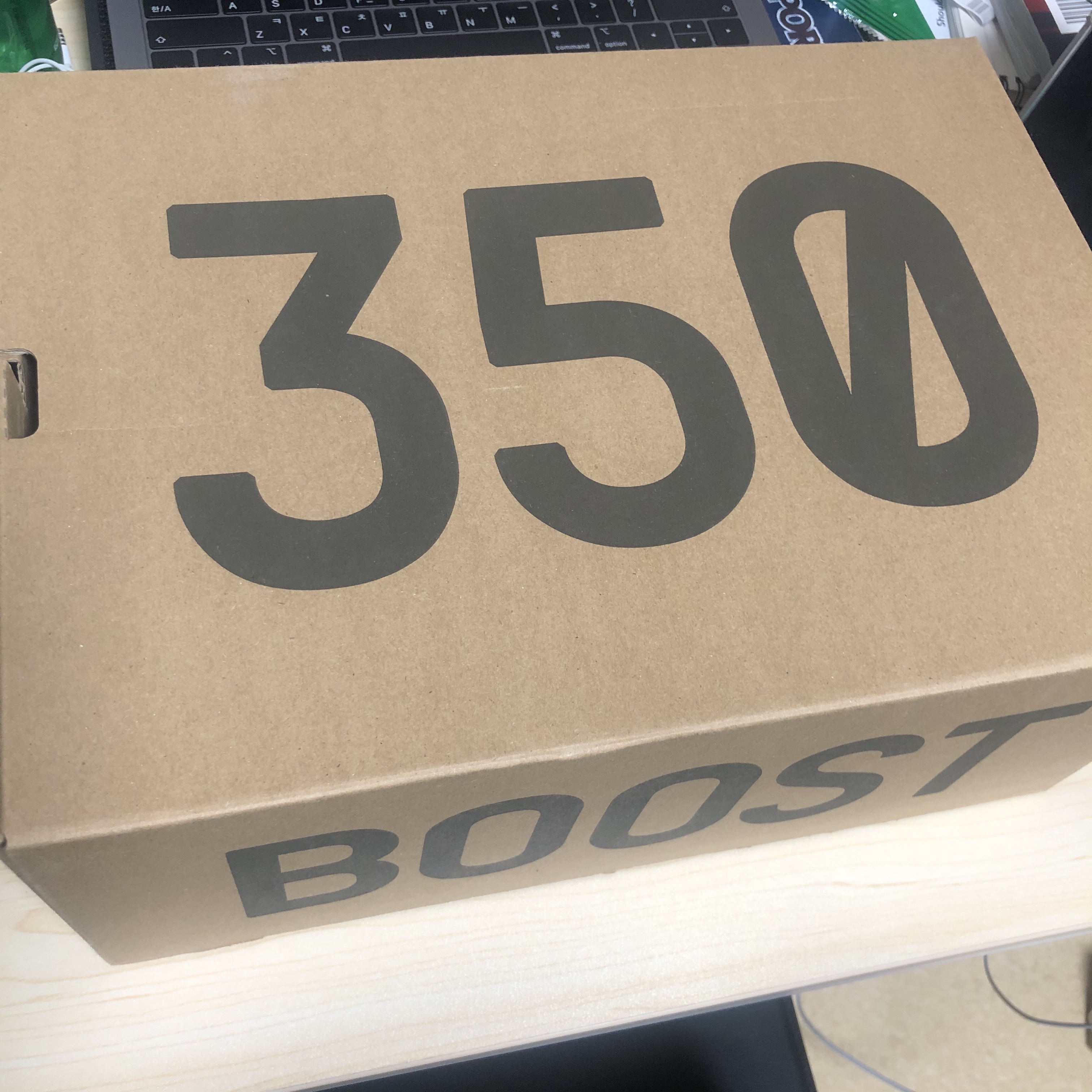 Adidas Yeezy Boost 350 V2 Zyon 착용 스타일 - 2