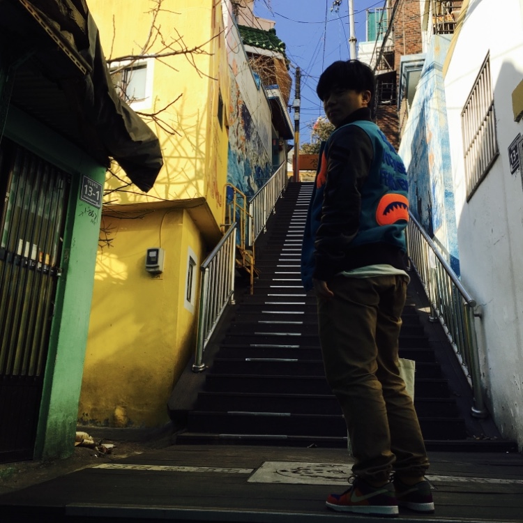Nike Dunk PRM Low Viotech 2013 착용 스타일
