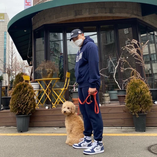 스타일 카드