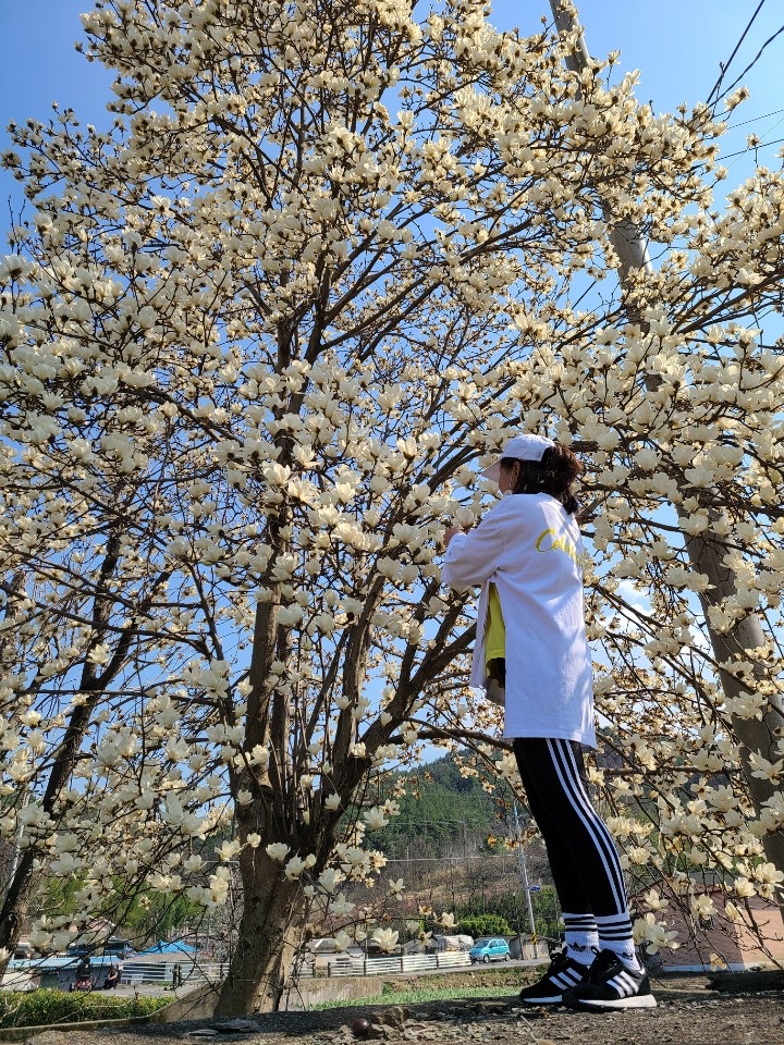세똥🗺님의 스타일 - 2