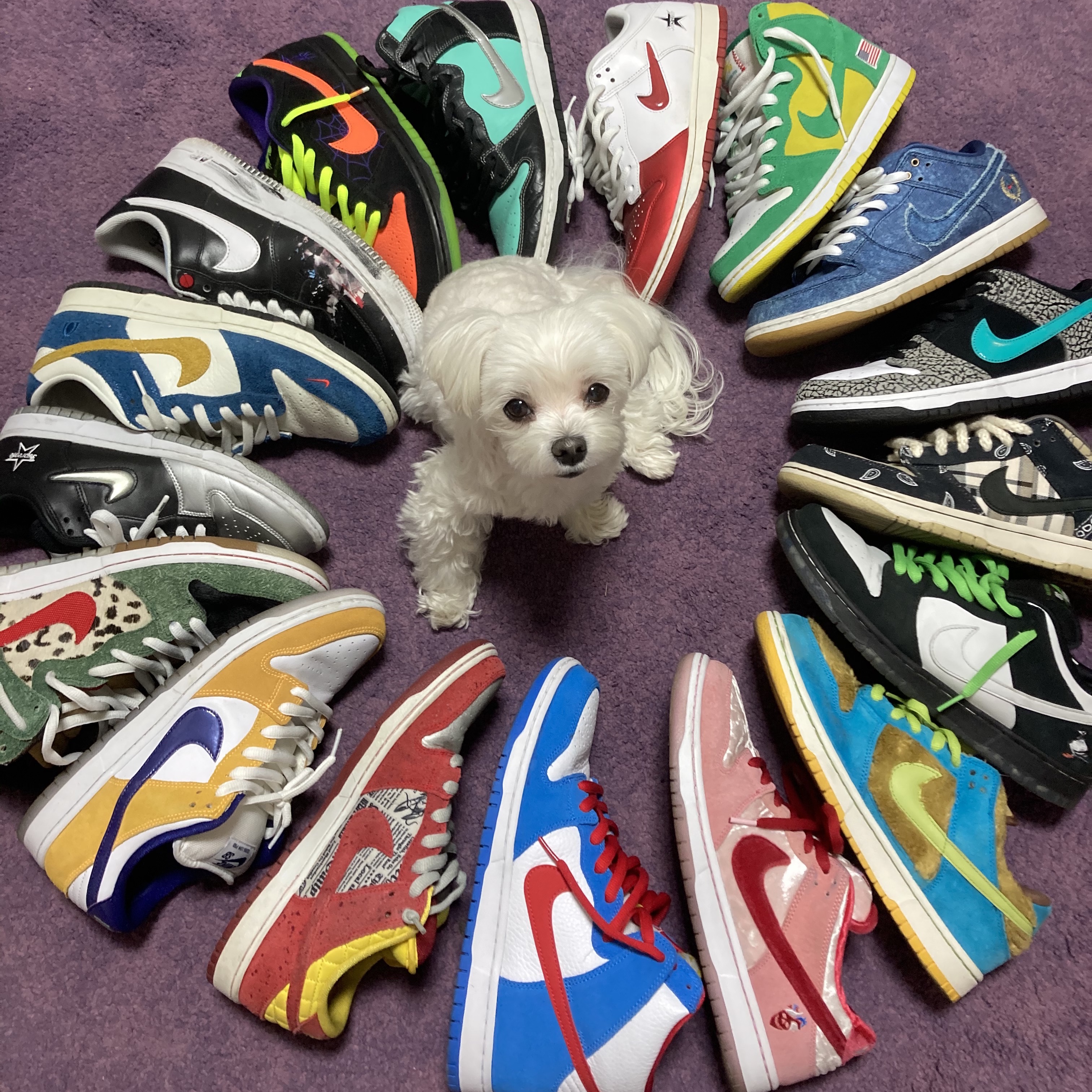 Nike SB Dunk High Pro Doraemon, Nike x StrangeLove SB Dunk Low Pink (Regular Box) 착용 스타일