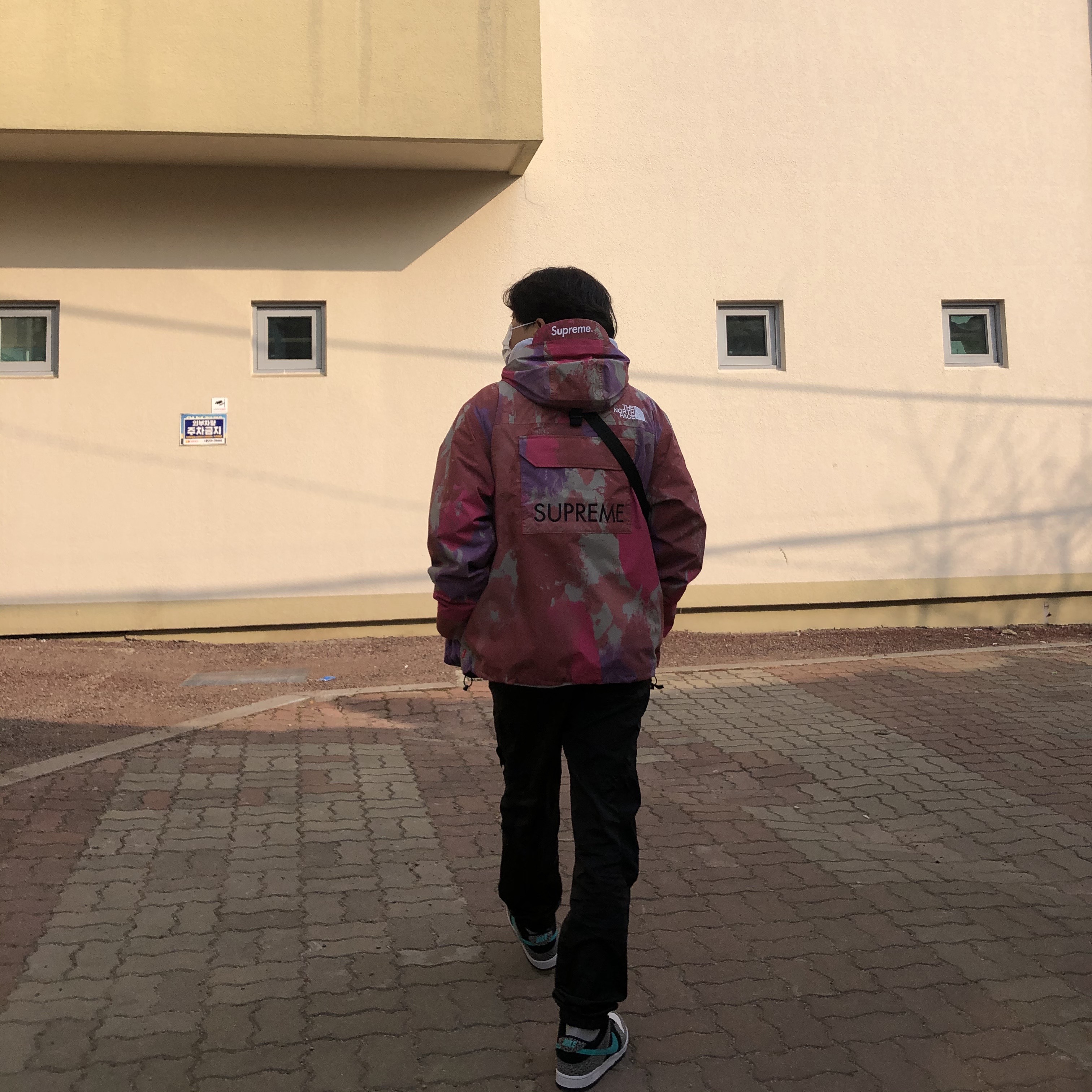 Supreme x The North Face Cargo Jacket Multi-Color - 20SS, Nike SB Dunk Low Pro Clear Jade 착용 스타일 - 2