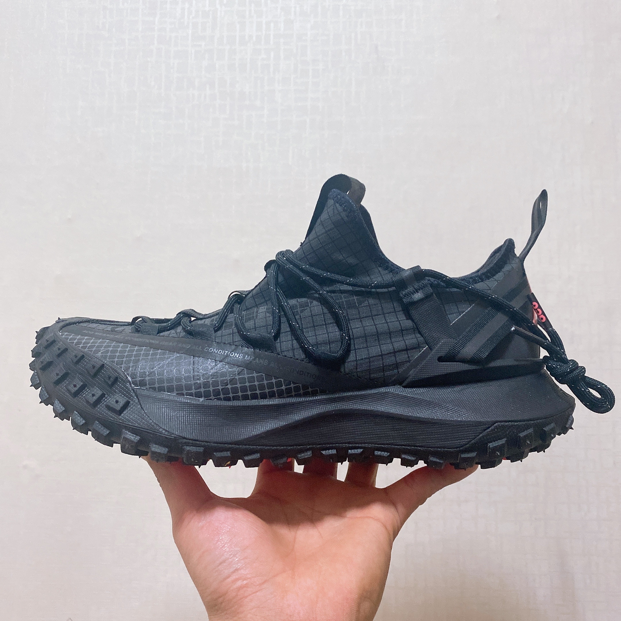 Nike ACG Mountain Fly Low Anthracite 착용 스타일 - 2