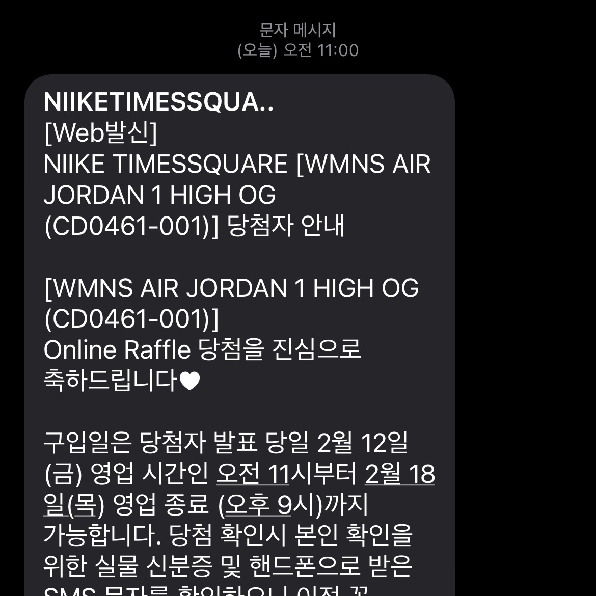 (W) Jordan 1 Retro High OG Silver Toe 착용 스타일 - 2