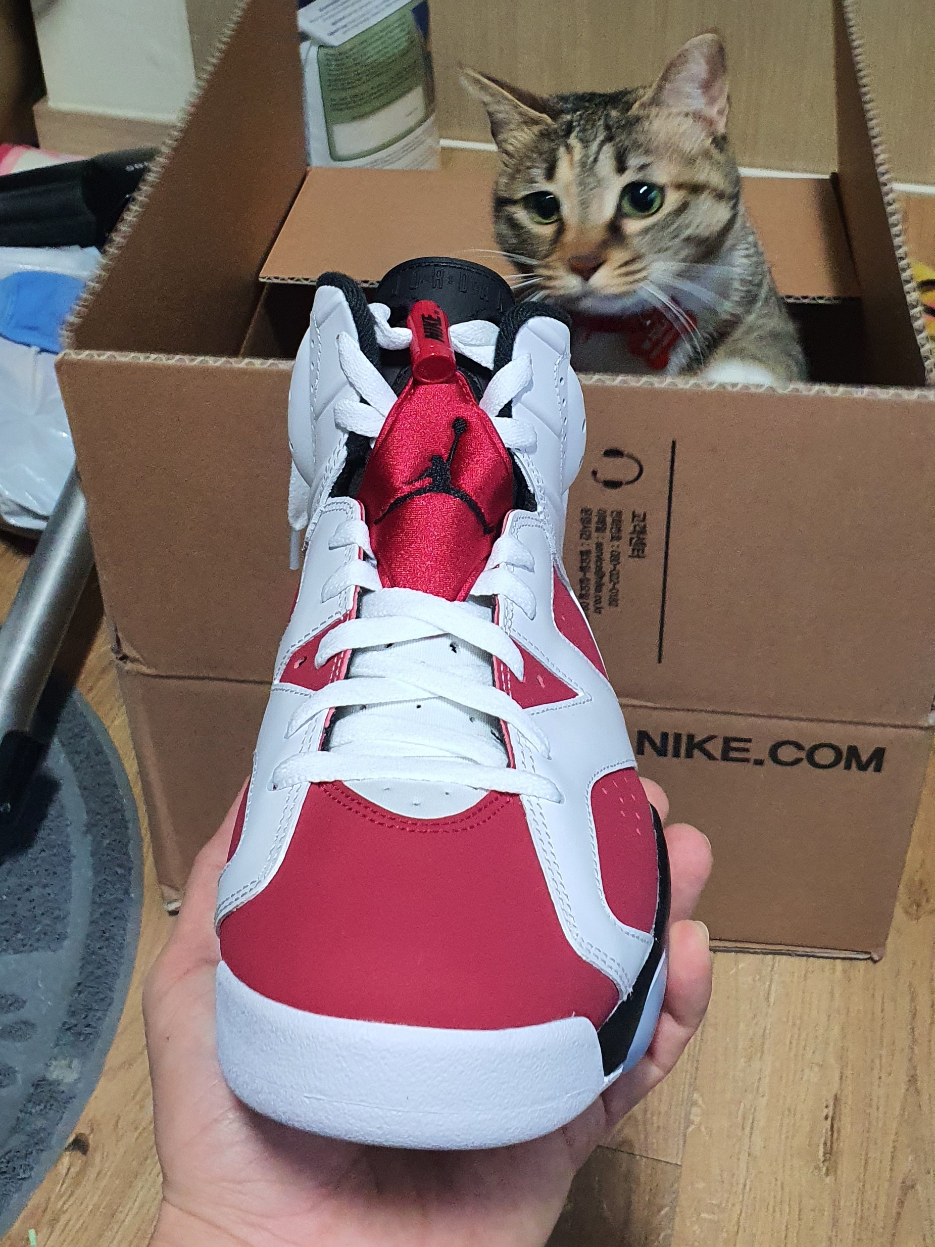 Jordan 6 Retro Carmine 2021 착용 스타일