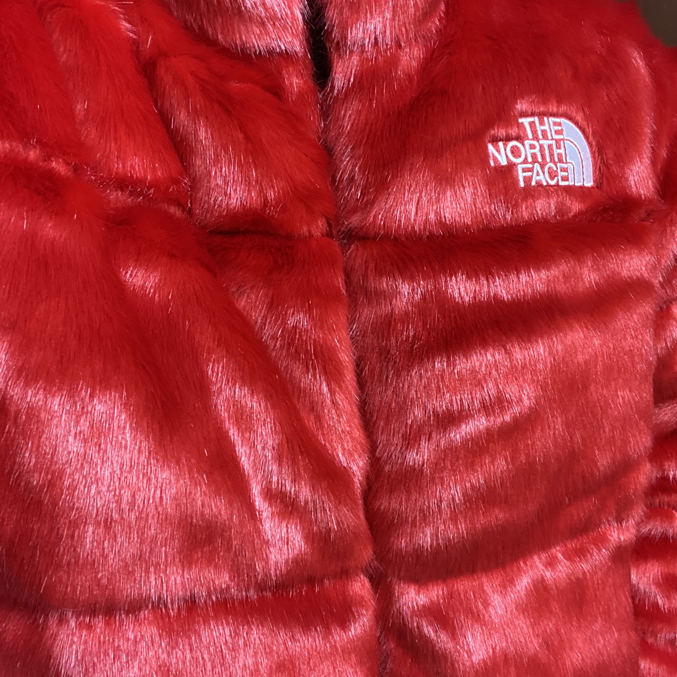 Supreme x The North Face Faux Fur Nuptse Jacket Red - 20FW 착용 스타일