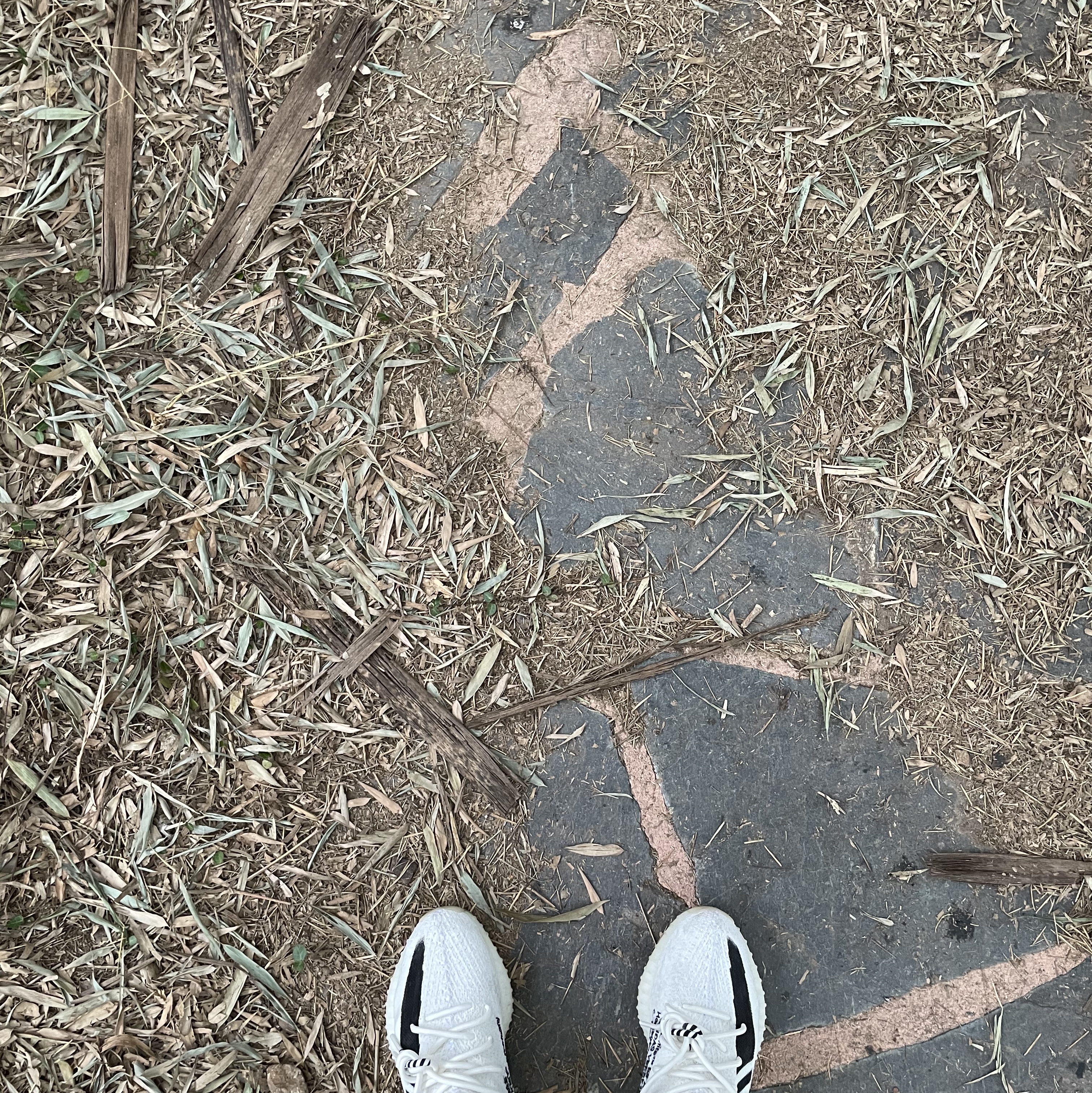 김나스님의 스타일