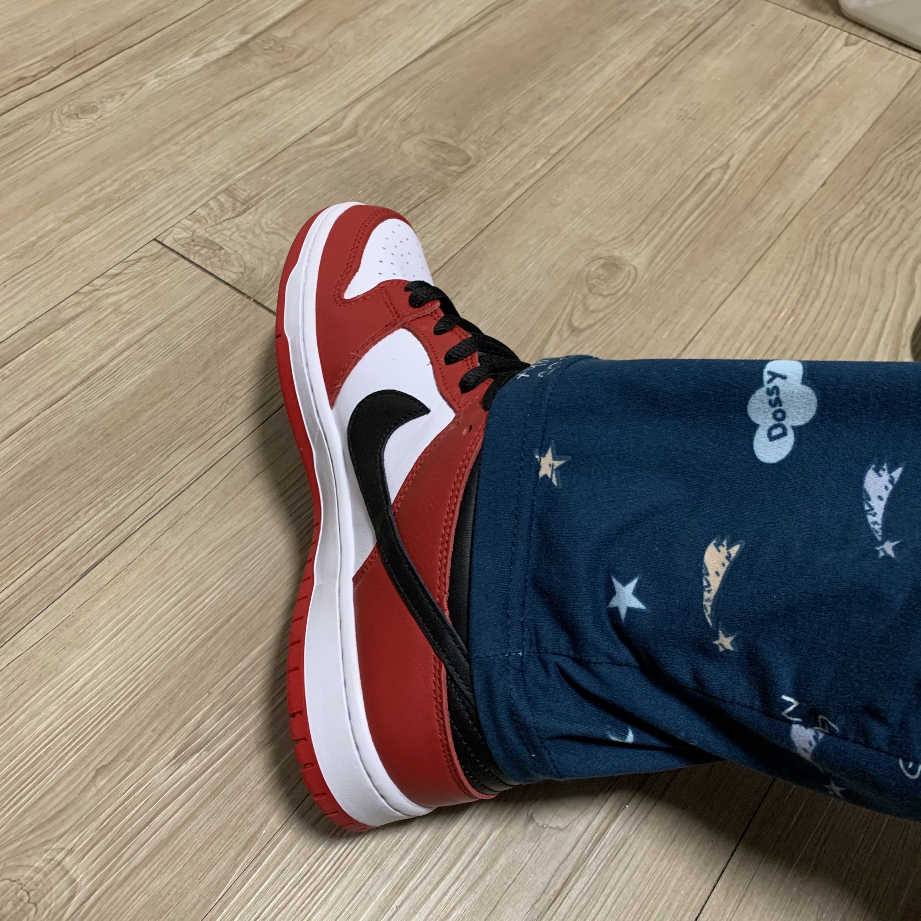 Nike SB Dunk Low Pro Chicago 착용 스타일