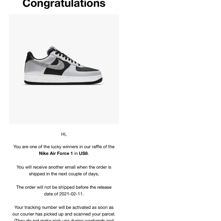 Nike Air Force 1 B Silver Snake 착용 스타일