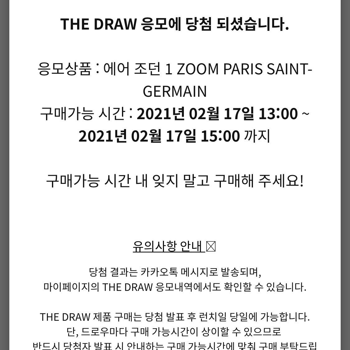Jordan 1 x Paris Saint-Germain Zoom Air CMFT 착용 스타일