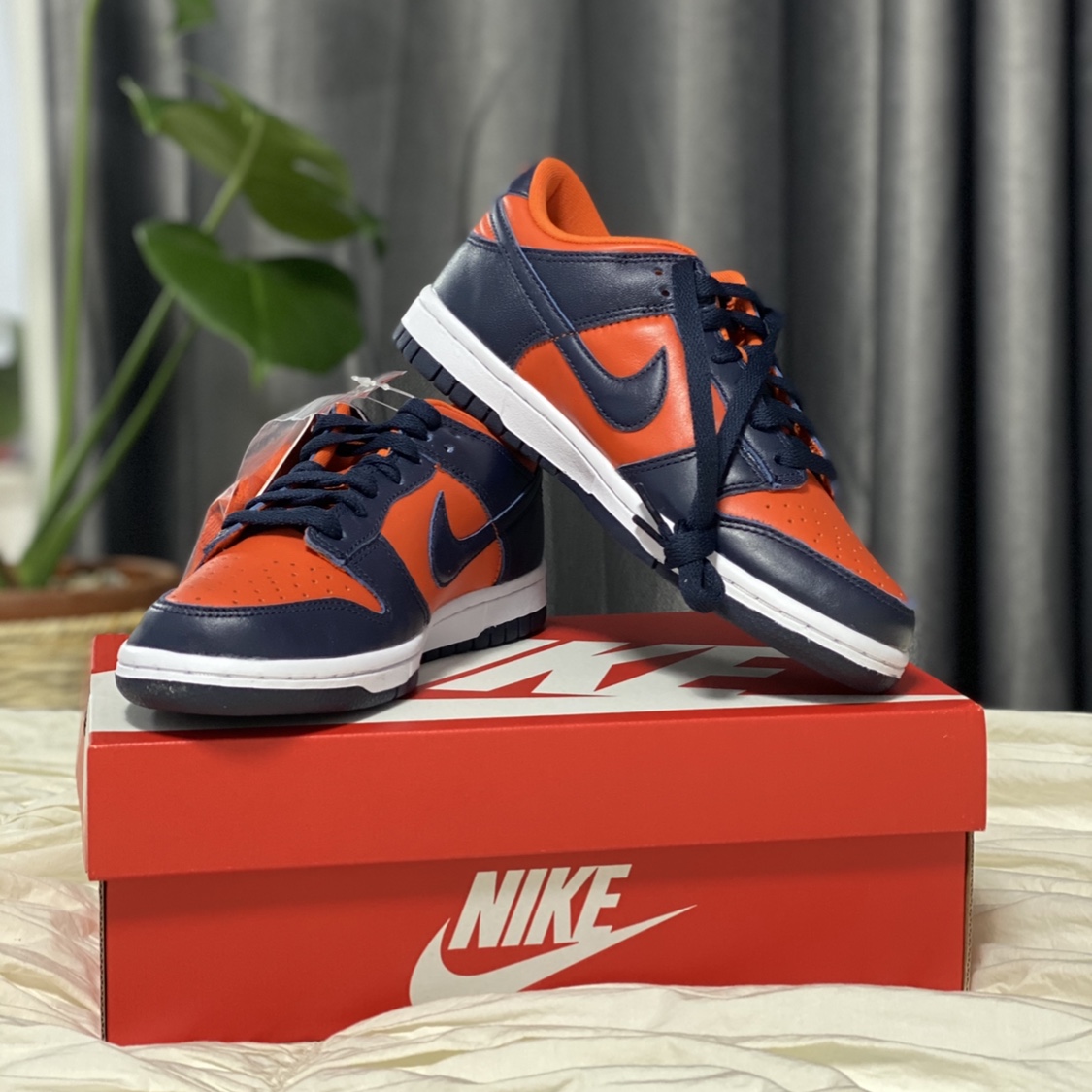 Nike Dunk Low SP Champ Colors 착용 스타일