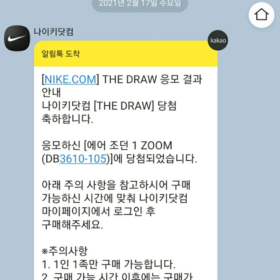 Jordan 1 x Paris Saint-Germain Zoom Air CMFT 착용 스타일