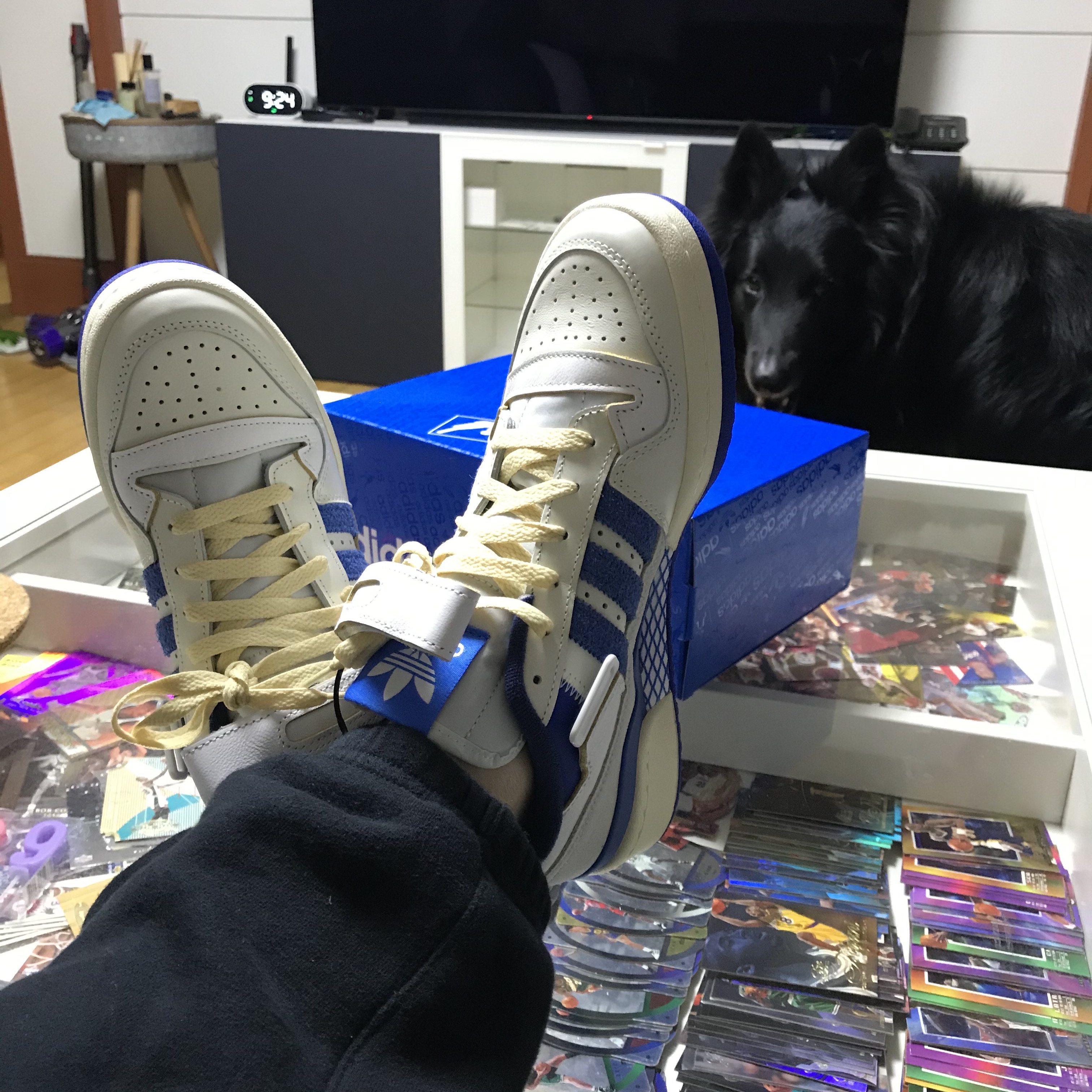 Adidas OG Forum 84 Low Blue Thread 착용 스타일