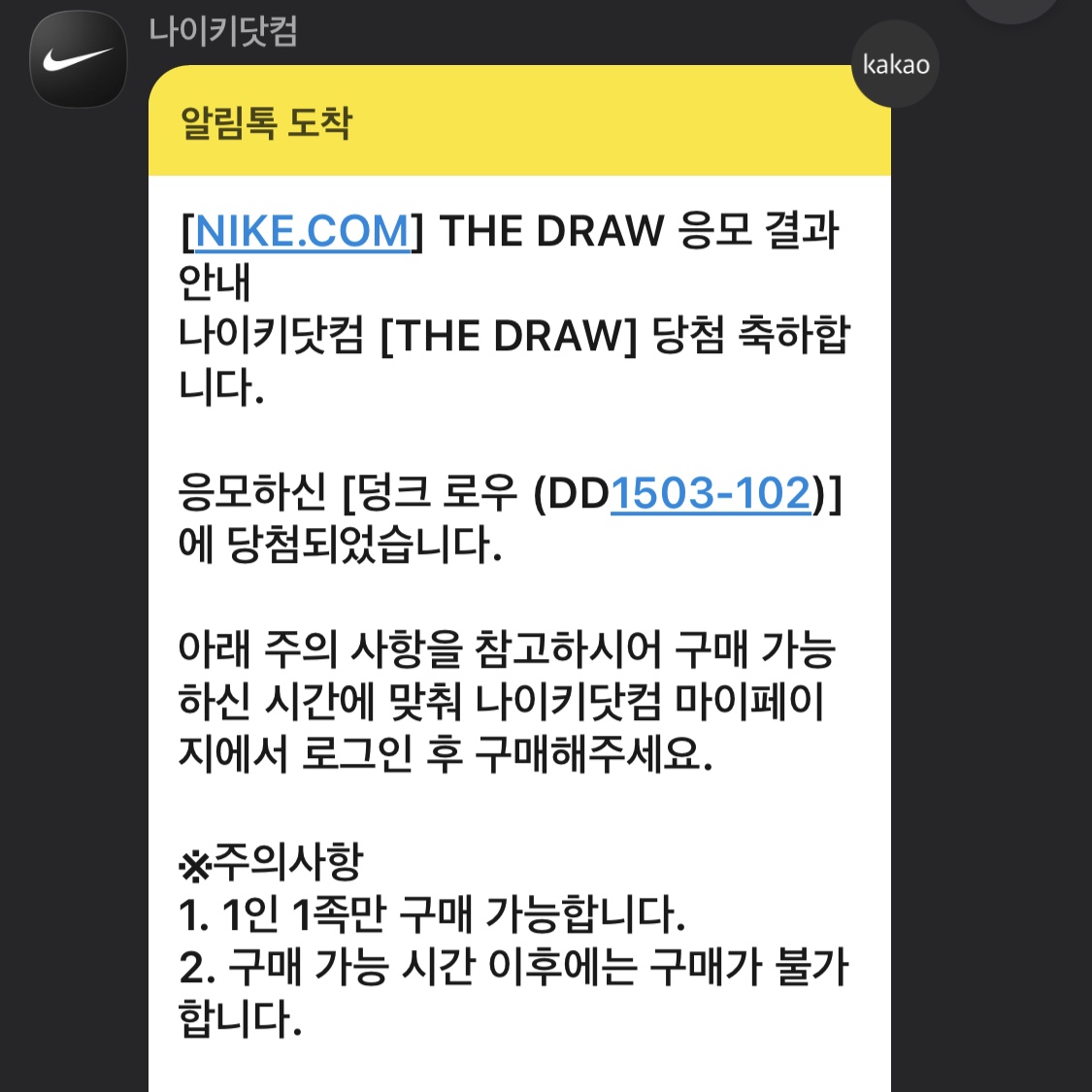 (W) Nike Dunk Low Orange Pearl 착용 스타일