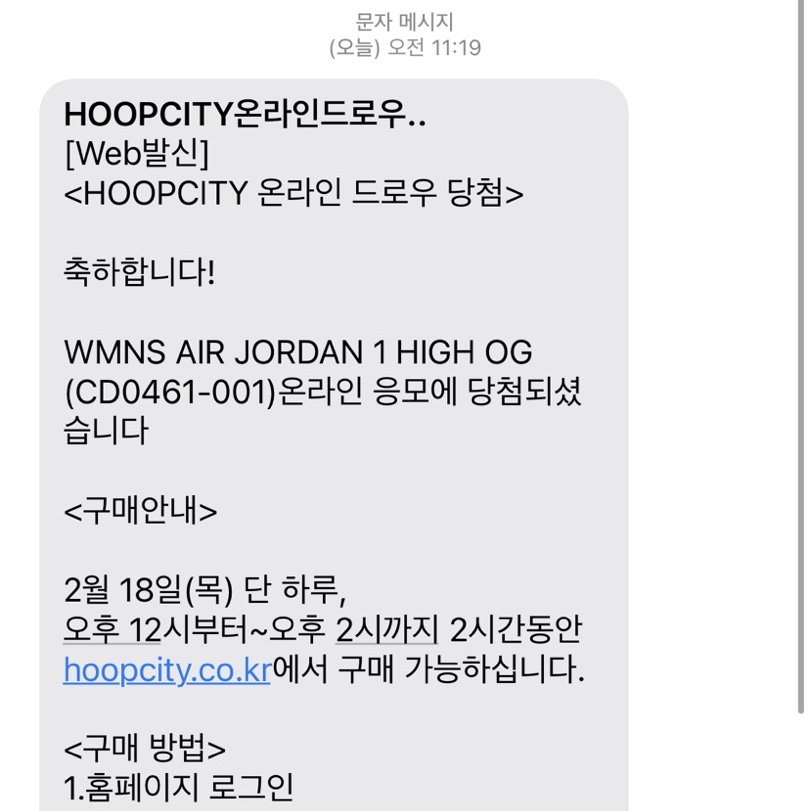 (W) Jordan 1 Retro High OG Silver Toe 착용 스타일 - 1