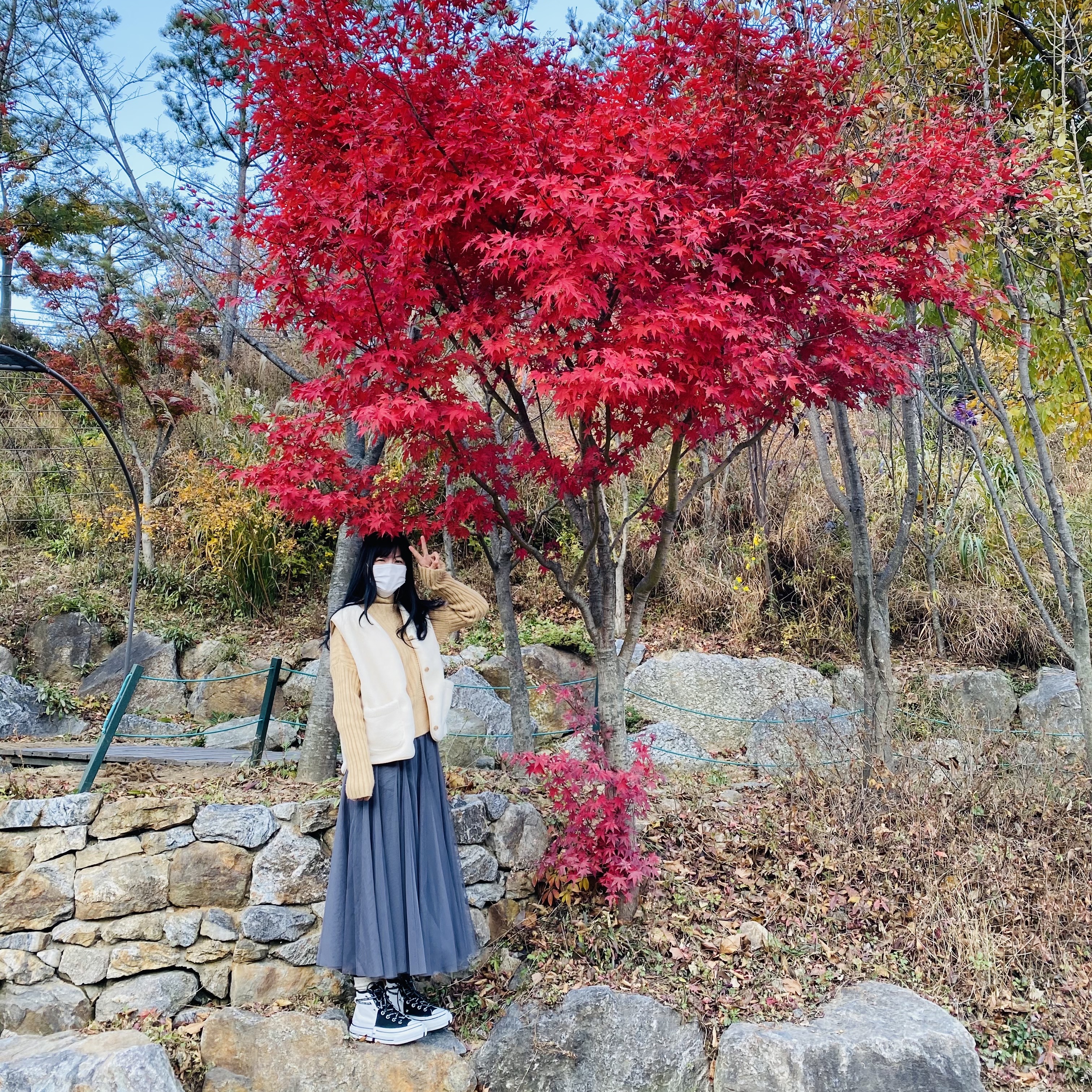 ์์
์ด๋ฏธ์ง