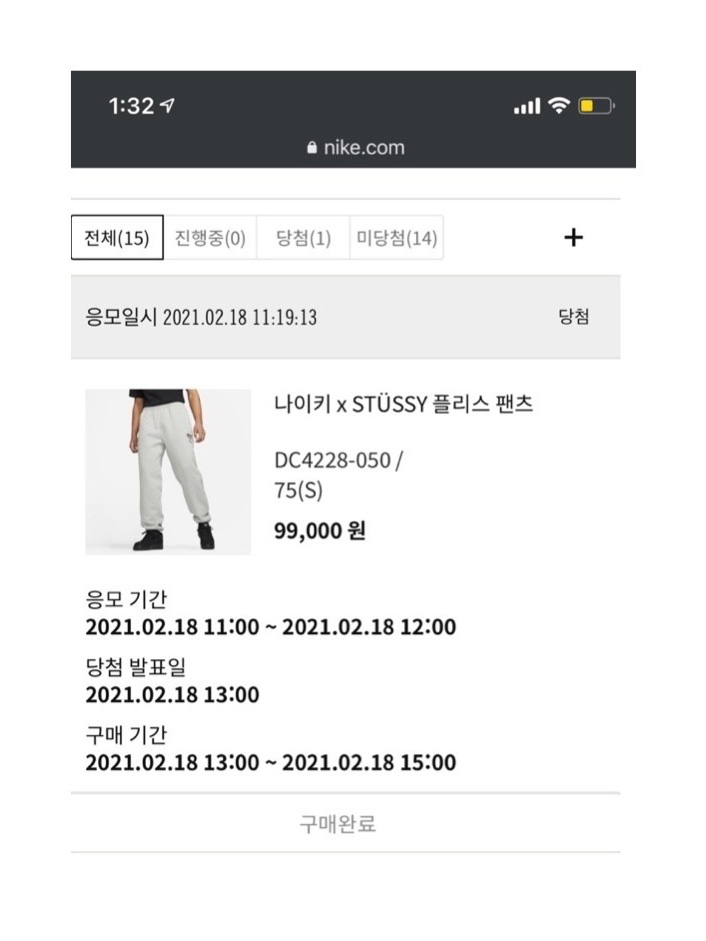 Nike x Stussy NRG ZR Fleece Pants Heather Grey - US/EU 착용 스타일