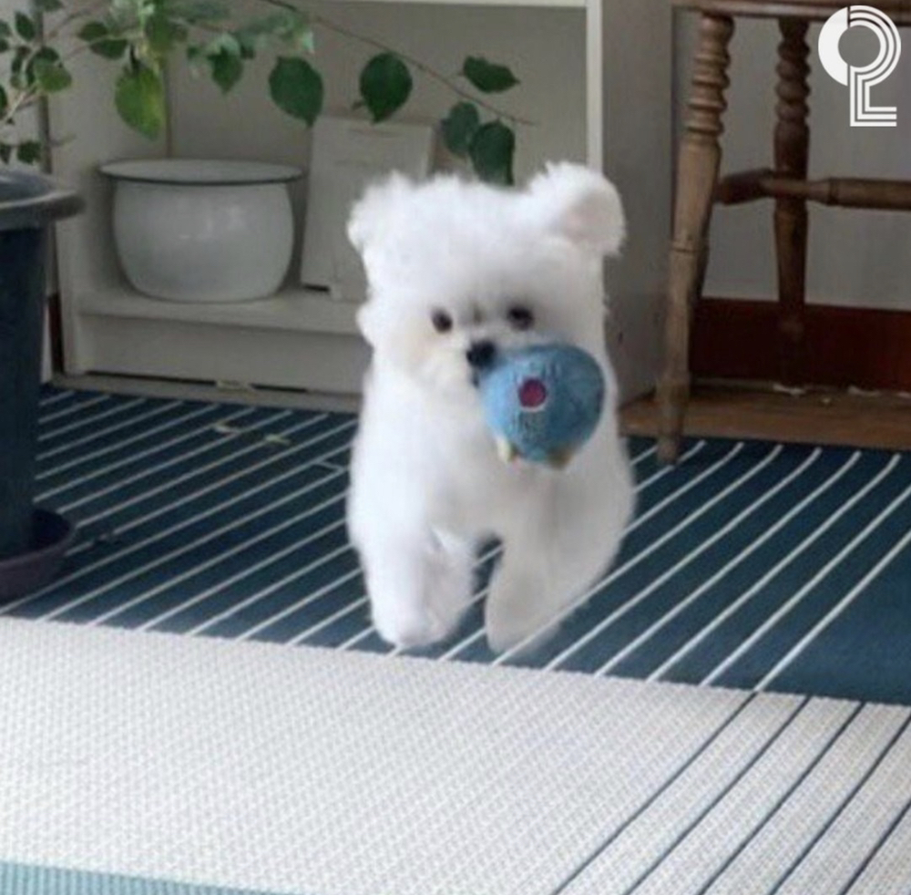 KREAM 프로필 이미지