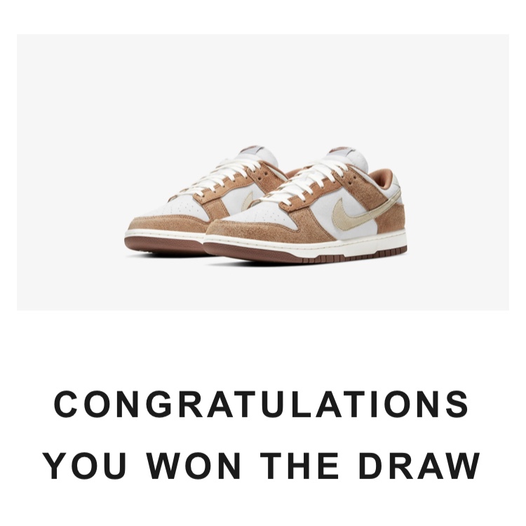 Nike Dunk Low Pro Premium Medium Curry 착용 스타일