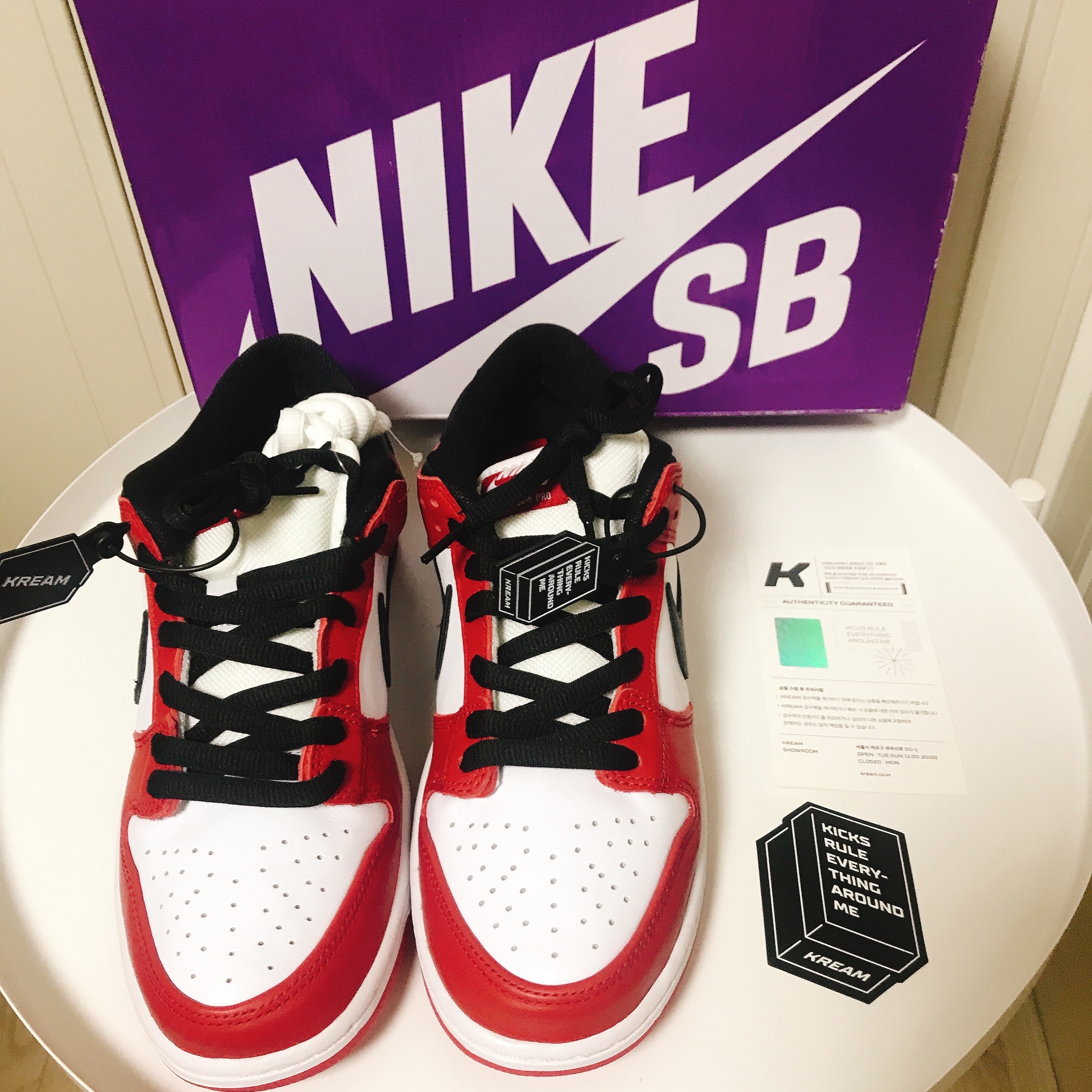 Nike SB Dunk Low Pro Chicago 착용 스타일 - 1
