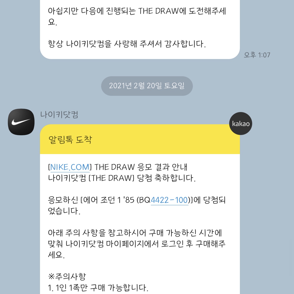 Jordan 1 High 85 Neutral Grey 착용 스타일