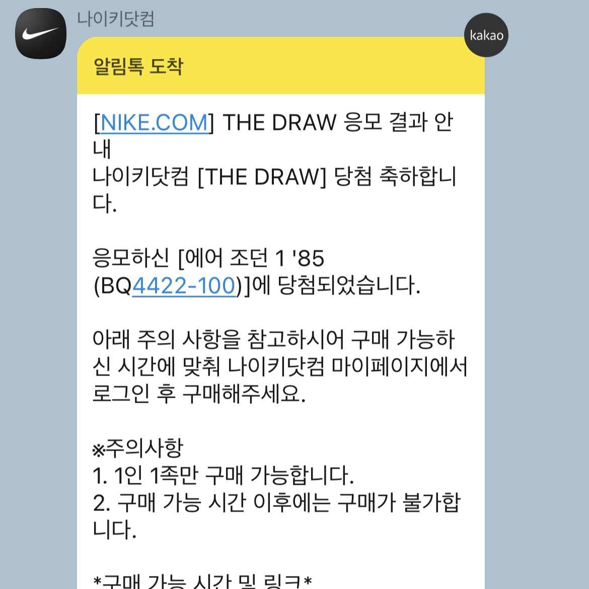 Jordan 1 High 85 Neutral Grey 착용 스타일