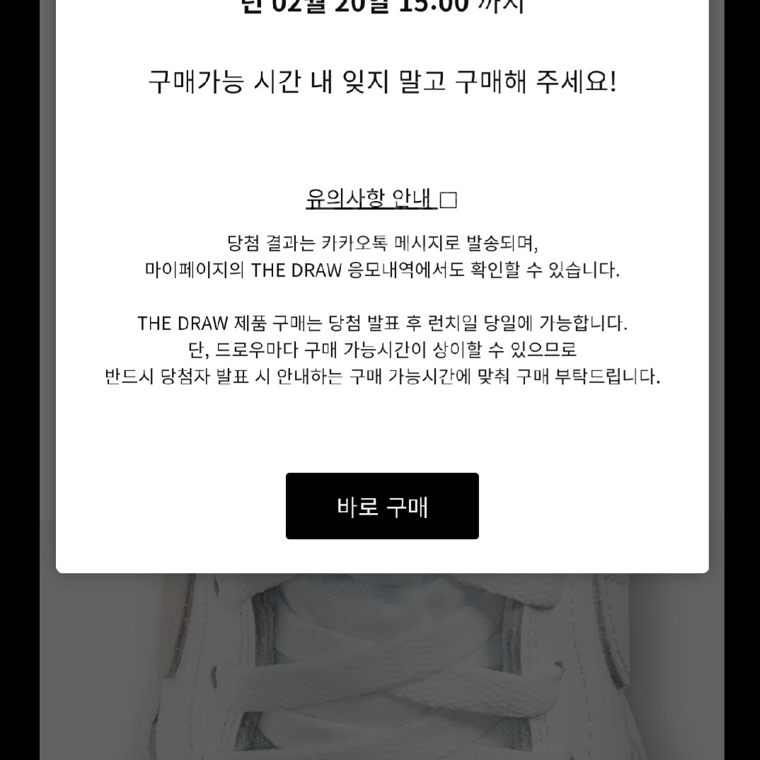 Jordan 1 High 85 Neutral Grey 착용 스타일 - 1