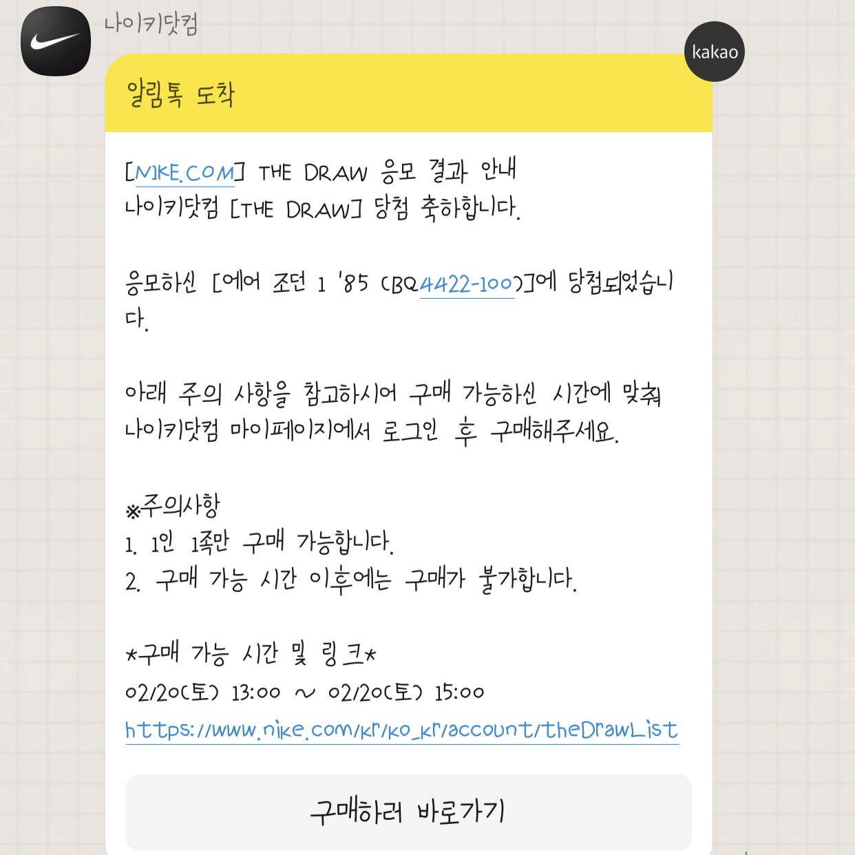 Jordan 1 High 85 Neutral Grey 착용 스타일
