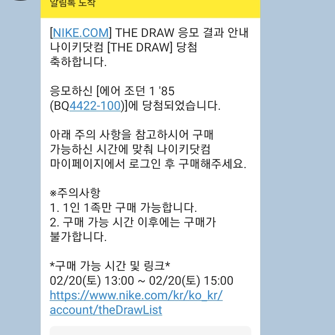 Jordan 1 High 85 Neutral Grey 착용 스타일