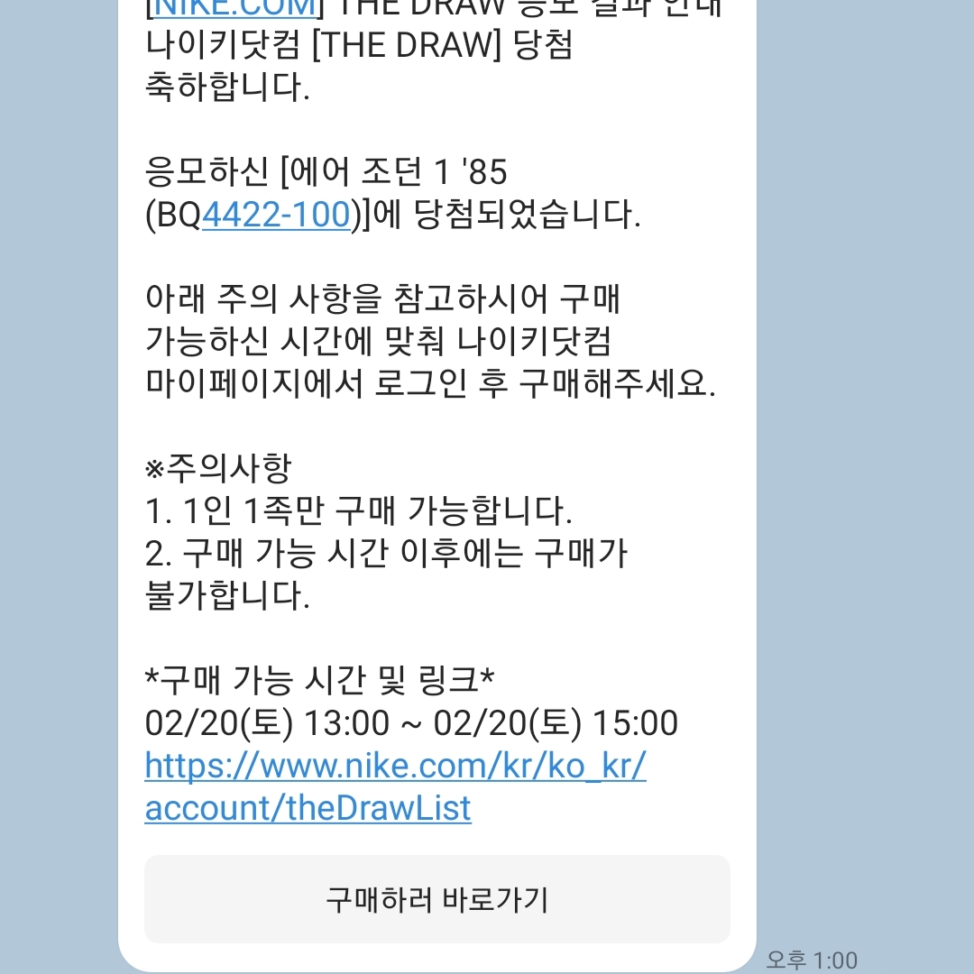 Jordan 1 High 85 Neutral Grey 착용 스타일 - 1