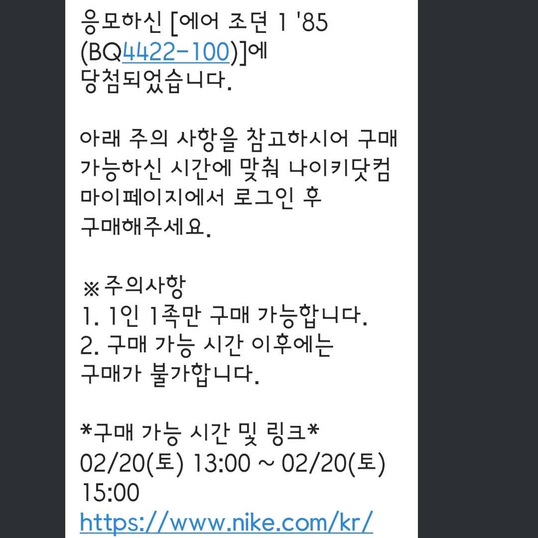 Jordan 1 High 85 Neutral Grey 착용 스타일