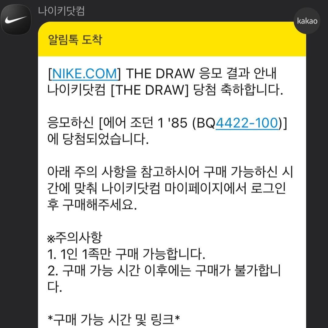 Jordan 1 High 85 Neutral Grey 착용 스타일
