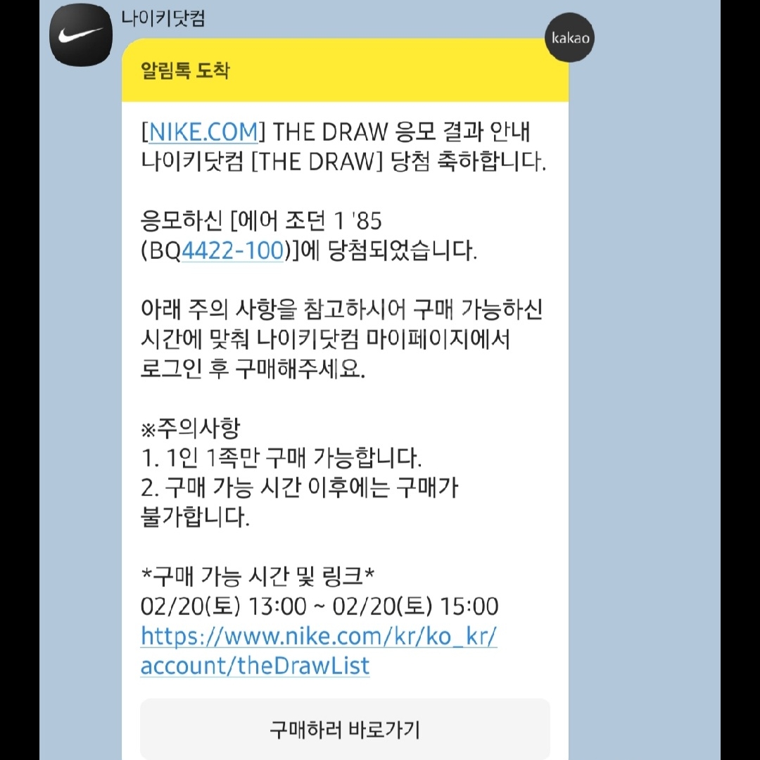 Jordan 1 High 85 Neutral Grey 착용 스타일 - 2