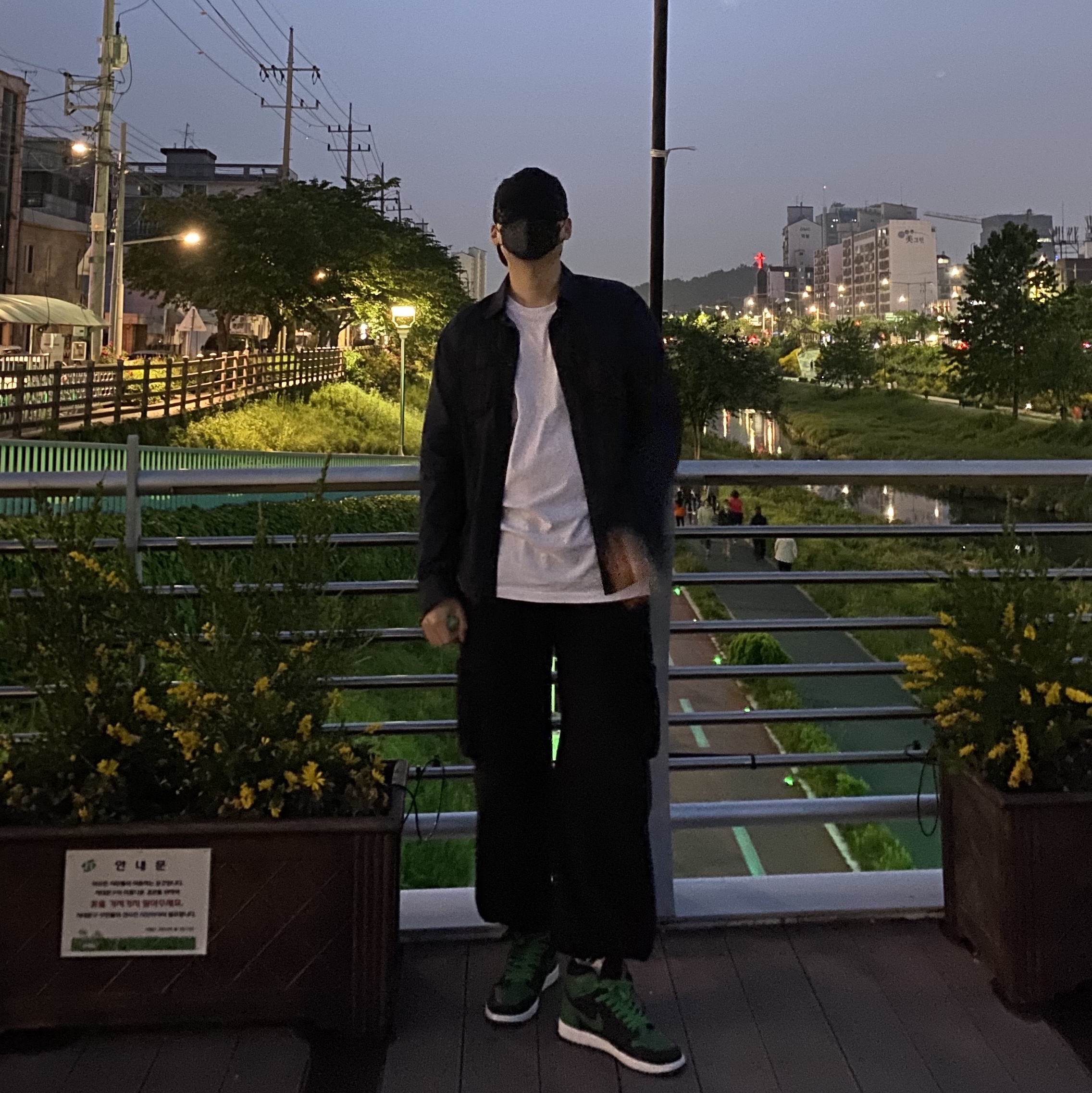 Jordan 1 Retro High OG Pine Green Black 착용 스타일