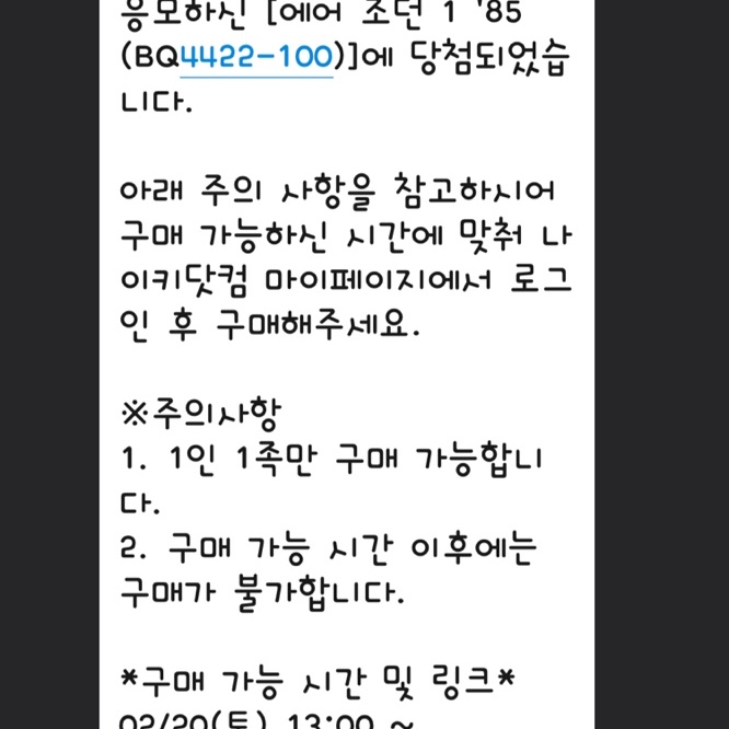 Jordan 1 High 85 Neutral Grey 착용 스타일 - 1