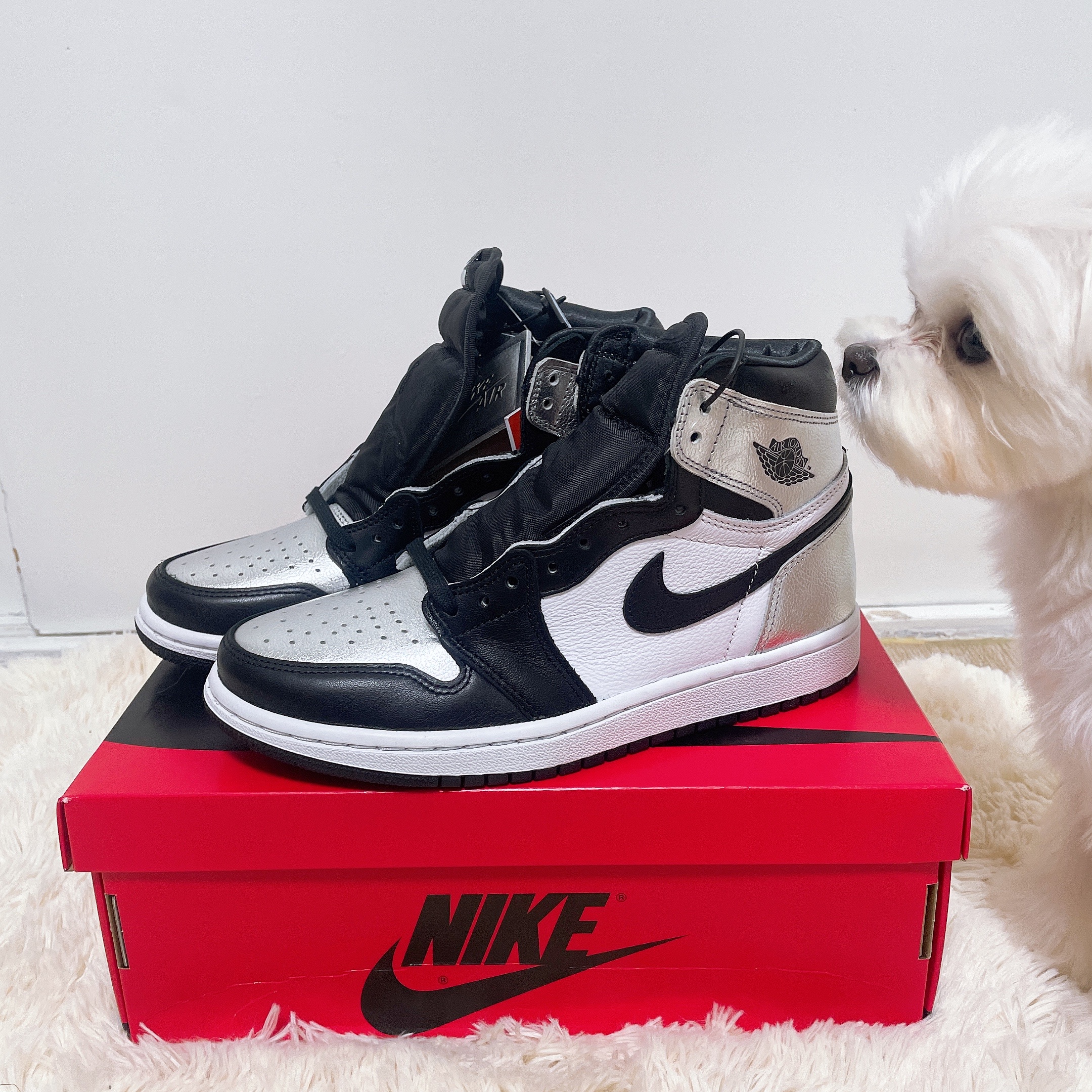 (W) Jordan 1 Retro High OG Silver Toe 착용 스타일 - 1