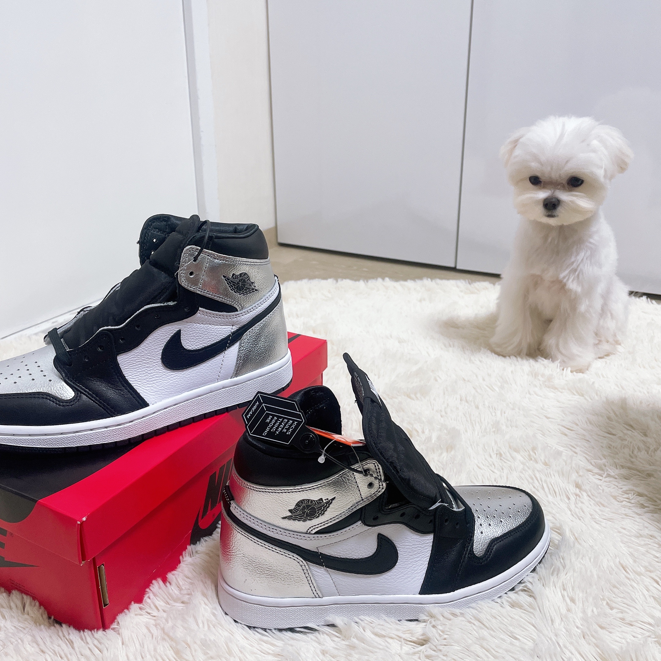 (W) Jordan 1 Retro High OG Silver Toe 착용 스타일 - 3