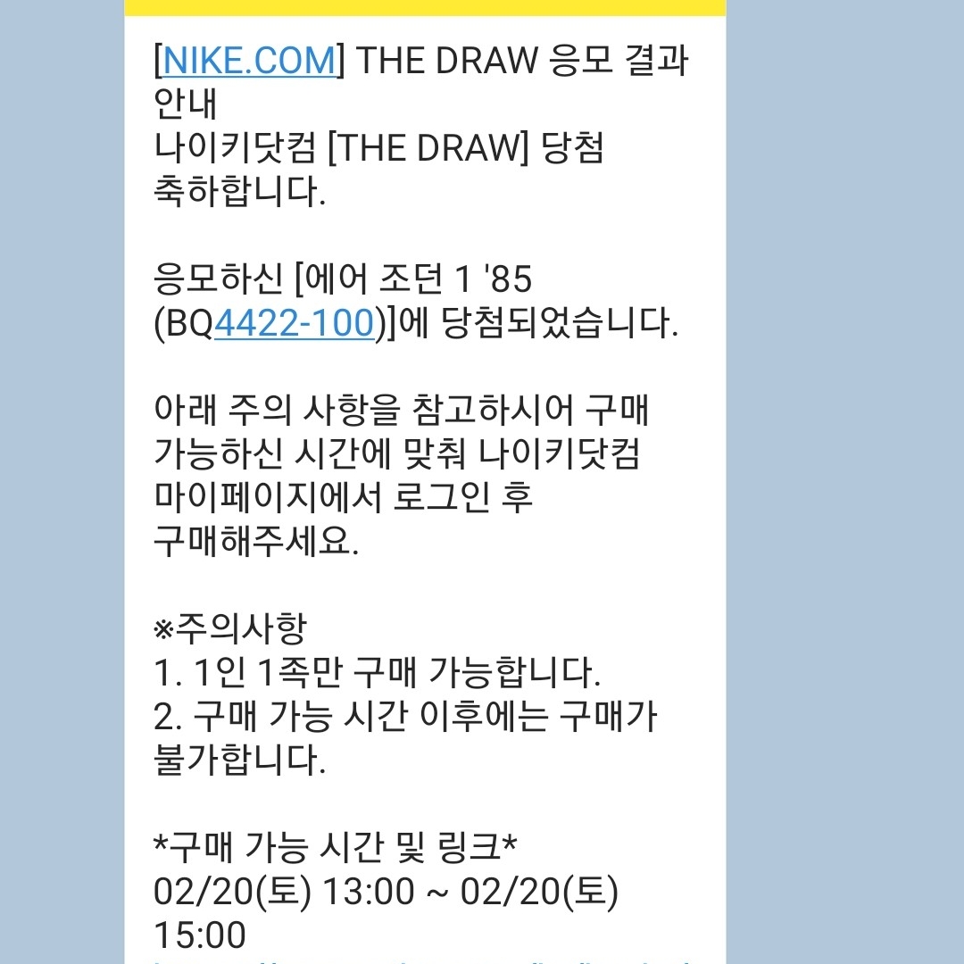 Jordan 1 High 85 Neutral Grey 착용 스타일