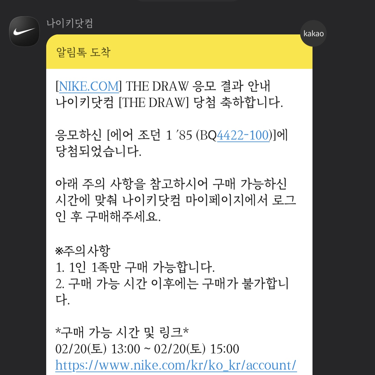 Jordan 1 High 85 Neutral Grey 착용 스타일 - 1